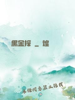 黑金探長