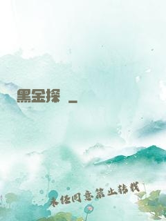 黑金探長