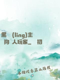 黑龍領(lǐng)主與狗頭人玩家