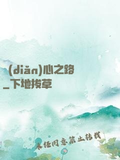 點(diǎn)心之路