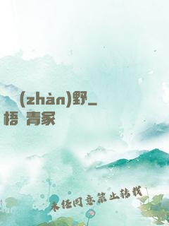 龍戰(zhàn)野