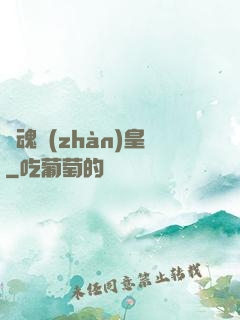 龍魂戰(zhàn)皇