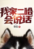 都市小說(shuō)