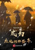 成為系統(tǒng)的那些年